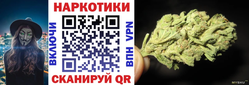 Конопля Кондопога