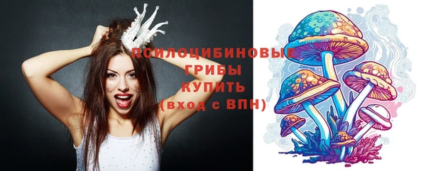 спиды Волоколамск