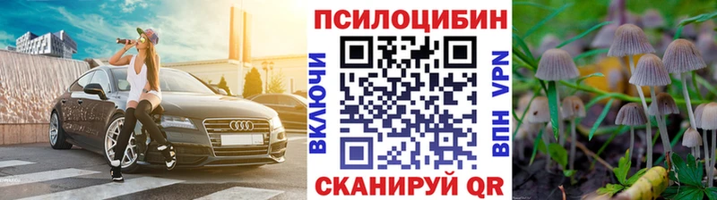 Купить  Кондопога  Галлюциногенные грибы Cubensis 